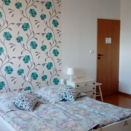 Agrogospodarstwo Halina Luc Guest House Sasino Exterior photo