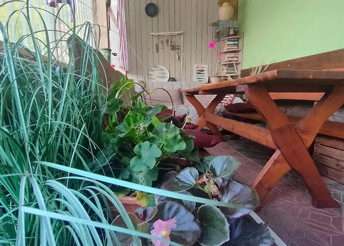 Agrogospodarstwo Halina Luc