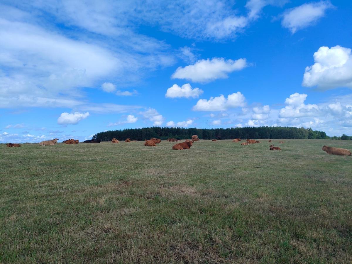 Agrogospodarstwo Halina Luc Landhaus *