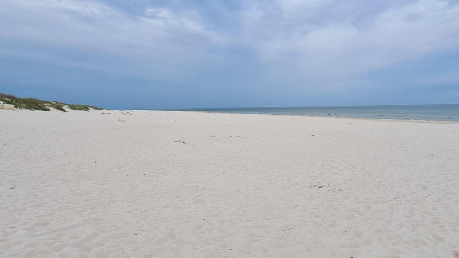 Agrogospodarstwo Halina Luc * Sasino